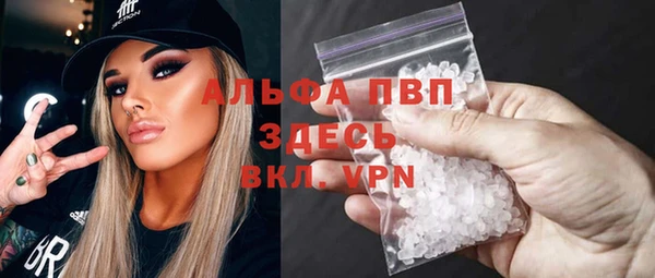 сатива Беломорск