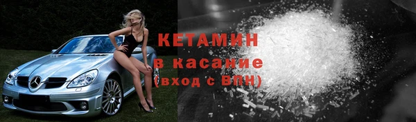сатива Беломорск