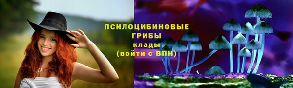 сатива Беломорск