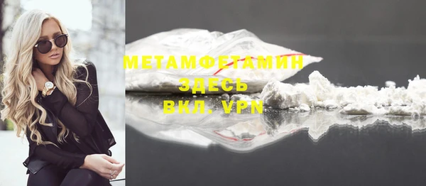 сатива Беломорск