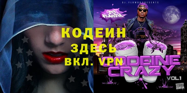сатива Беломорск