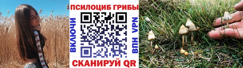 Псилоцибиновые грибы Cubensis  купить закладку  Завитинск 